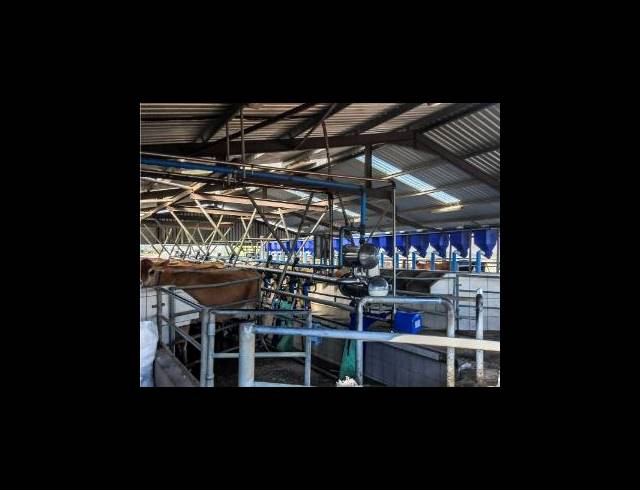 473HA FARM FOR SALE IN EAST LONDON RURAL